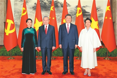 习近平同越共中央总书记、国家主席苏林举行会谈